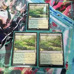 2026年最新】吹きさらしの荒野 FOILの人気アイテム - メルカリ