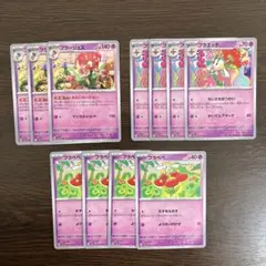 進化ライン　フラージェス　フラエッテ　フラべべ　みわくのいざない