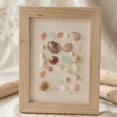 シーグラス貝殻アート　ハンドメイド　海の標本　インテリア　【Be海のかけら】