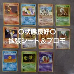 旧裏ポケカ 美品状態良好拡張シート＆プロモセット