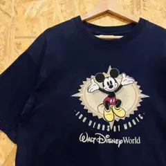 2026年最新】wdw 100周年の人気アイテム - メルカリ