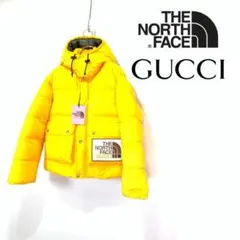 ザノースフェイス ダウンジャケット