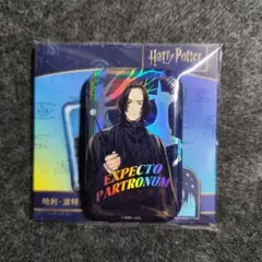 HarryPotter ハリー・ポッター セブルス・スネイプ 缶バッジ 中国限定