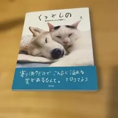 Item thumbnail for item 8f7e8489-7523-453b-8024-bdafa35b4f9f