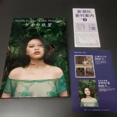 少女の欲望 吉野紗香 写真集　sayaka yoshino　女性グラビアアイドル
