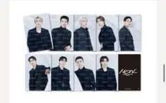 SEVENTEEN NEW_ パーカートレカ ディノ