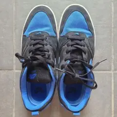 NIKE SB ALL COURT CK ブラック ブルー 27.5cmのサムネイル