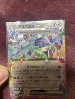 ポケモンカード　テラパゴスex