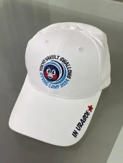 Item thumbnail for item af990b0f-c61e-46e9-909d-5285a446afbc