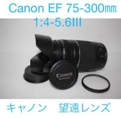 2026年最新】canon kiss x8i 望遠レンズの人気アイテム - メルカリ