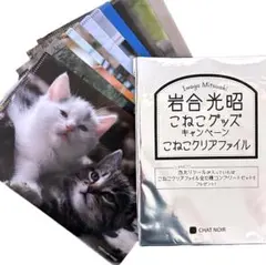 岩合光昭「こねこクリアファイル」キャンペーングッズ〈11枚セット〉【ダブり無し】のサムネイル