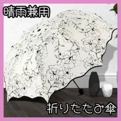 Item thumbnail for item 0981b120-bd8f-484f-bfb8-13067673c6c8