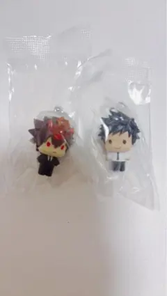 家庭教師ヒットマンREBORN!めじるしアクセサリー