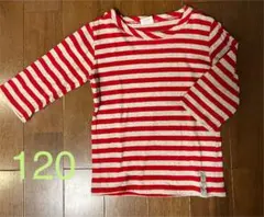 7分丈　ボーダロンT キッズのサムネイル