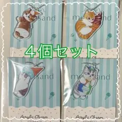 モフサンドアクリルチャーム 全4種コンプリート4個セットファミリーにゃート