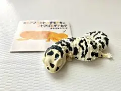 Item thumbnail for item d32ef752-a94c-443a-b3f3-5b57815f3d9d