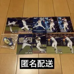 ドアラ　めじるしアクセサリー　中日ドラゴンズプロ野球チップスカード　まとめ売りのサムネイル