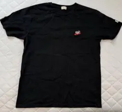 the endless summer ワンポイントTシャツのサムネイル