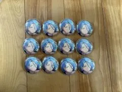 HiMERU シャッフル　缶バッジ 12個セット