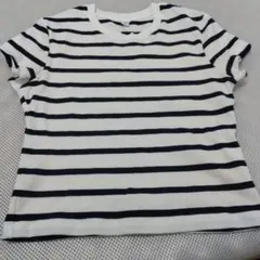 UNIQLO ストライプ Tシャツ Mサイズ