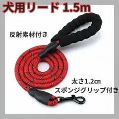 Item thumbnail for item 9050e916-11d3-4eef-8e85-0a81f2447086