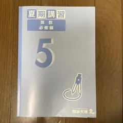 2026年最新】四谷大塚 夏期講習 5年の人気アイテム - メルカリ