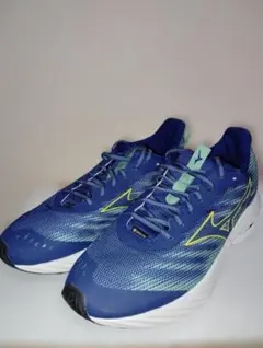 Mizuno 28cm Wave Rider GTX 2 GoreTex ミズノ