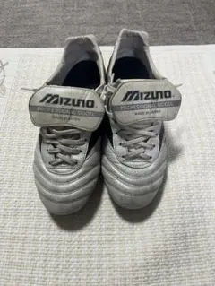 Item thumbnail for item 61523aa7-ba36-499e-bf8d-3aa0fbdd8cec