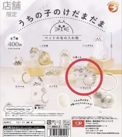 MAL様専用ページ　うちの子のけだまだま