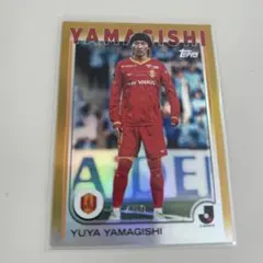 Item thumbnail for item 1c796916-e266-4471-a03e-8cd1bf96cf15