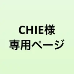 専用ページ