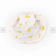 Item thumbnail for item 4445806c-830b-45de-a19b-ca0333085d4c