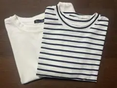 短丈Tシャツセット