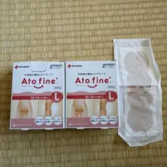 Item thumbnail for item 704e4029-f806-45be-a3b1-d74cdffe5d8d