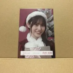 櫻坂46 向井純葉　生写真