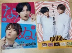 中島健人、菊池風磨 ガルボのファイル＆下敷き