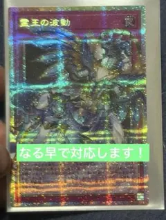 霊王の波動　オーバーフレームプリシク