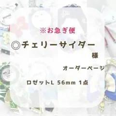 (1286)チェリーサイダー様専用ページ(使用日16日)