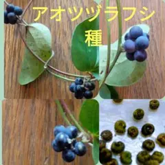 アキオ様 リクエスト 4点 まとめ商品