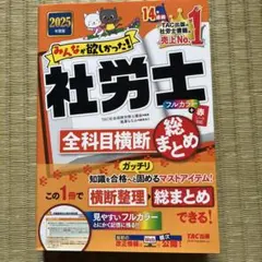 2025年度版 みんなが欲しかった! 社労士全科目横断総まとめのサムネイル