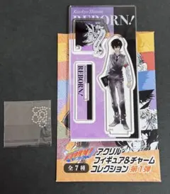 リボーン REBORN アクリルフィギュア&チャームコレクション 雲雀恭弥