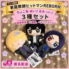 家庭教師ヒットマンREBORN ちょこ友 ぬいぐるみ ケース - メルカリ