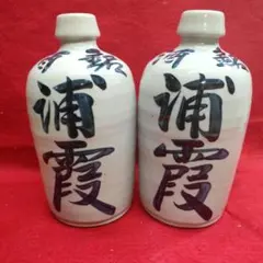 Item thumbnail for item dfa009de-dcb5-49c8-bdb1-bfc38d4e9e94