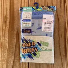 120  ボクサーブリーフ　2枚組　恐竜