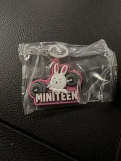 ミニティーン めじるしチャーム エスクプス