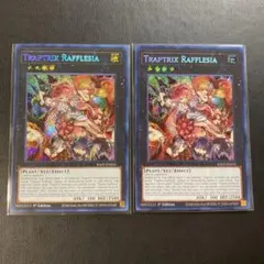 2025年最新】フレシアの蟲惑魔 シークレットの人気アイテム - メルカリ