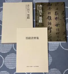 書道 図録 趙之謙の書画と北魏の書 - メルカリ