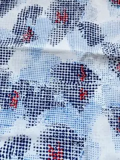 Item thumbnail for item fce3cab1-3c9d-474f-8224-2958976ccdfd