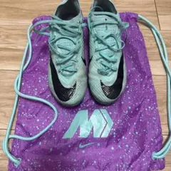 Item thumbnail for item 588d334e-e79d-477f-83f2-7eee20b1385d