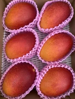 農家直送 宮崎県産 完熟マンゴー 6玉入り 2720g - メルカリ